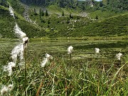 40 Lago piccolo (1986 m) ricoperto da erbe acquatiche 